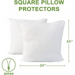 Hudson Comfort Square Pillow Protector 100% Waterproof Prevents Feathers from Popping European Square Zippered Pillow Covers 20x20 Set of 2 - BAFF4BLIL