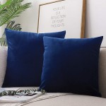 JUEYINGBAILI Throw Pillow Covers Velvet Decorative 2 Packs Ultra-Soft Navy Blue Pillowcase 18 x 18 Inch for Couch,Chair,Sofa,Bedroom,Car,Square Solid Color - BJA2PI7K7