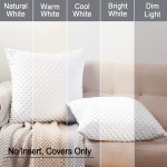 PHF Minky Dot Euro Sham 26x 26 2 Pack Soft Cozy Velvet Euro Throw Pillow Covers Holiday Home Decorative Square Pillowcase Cushion Cover for Couch Sofa Bed White - B0L0M4JHY