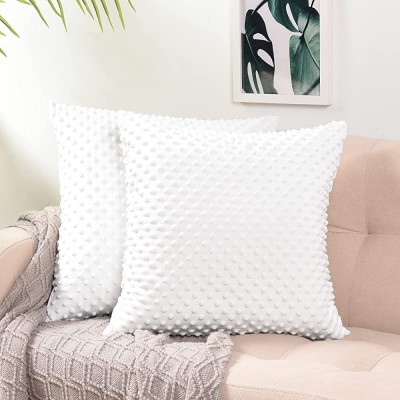 PHF Minky Dot Euro Sham 26"x 26" 2 Pack Soft Cozy Velvet Euro Throw Pillow Covers Holiday Home Decorative Square Pillowcase Cushion Cover for Couch Sofa Bed White - B0L0M4JHY