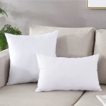 TAOSON Decorative 100% Cotton Canvas Square Solid Toss Pillowcase Cushion Cover Pillow Case with Hidden Zipper Closure Only Cover No Insert White 18x1845x45cm - BLGCRHKM8
