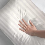 12x20 Pillow Insert Lumbar Pillow Inserts Stuffing Decorative Pillows Inserts Pillows for Sleeping Decorative Pillows for Bed Throw Pillow Insert - B29G4FA9J