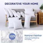 DOWNCOOL 100% Cotton Stuffer Throw Pillow Insert Rectangle Down and Feather Filled Decorative Bed Sofa Insert 12x20 Inch White - BYIG89CPO