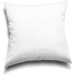 EDOW Throw Pillow Inserts Set of 2 Lightweight Down Alternative Polyester Pillow Couch Cushion Sham Stuffer Machine Washable. White 14x14 - B1500QOOK