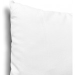 EDOW Throw Pillow Inserts Set of 2 Lightweight Down Alternative Polyester Pillow Couch Cushion Sham Stuffer Machine Washable. White 14x14 - B1500QOOK