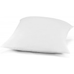 I AM European Pillow 1 Count Pack of 1 White - BEGWQY98S