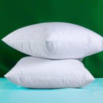 Pack of 2 Decorative Throw Pillow Inserts Cotton Fabric 26 x 26 Inches Down and Feather Sofa Couch Pillow Inserts - B99I5REKR