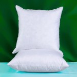 Pack of 2 Decorative Throw Pillow Inserts Cotton Fabric 26 x 26 Inches Down and Feather Sofa Couch Pillow Inserts - B99I5REKR