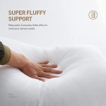 Acanva 20 x 20 Premium Hypoallergenic Polyester Stuffer Square Form Sham Throw Pillow Inserts 20 in 2020 Newer Version - B13VU5Z5D
