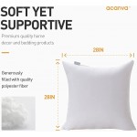 Acanva Decorative Throw Pillow Inserts for Sofa Bed Couch and Chair 28 L x 28 W White 2 Pack - BYY87PWEW