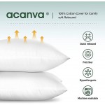 Acanva Throw Pillow Inserts Euro Sham Form Stuffer with Premium Polyester Micro Fiber Decorative for Bed Couch and Sofa White 4 Count 2222-4P - B8SEWDKPE