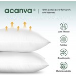 Acanva Throw Pillow Inserts Euro Sham Form Stuffer with Premium Polyester Micro Fiber Decorative for Bed Couch and Sofa White 4 Count 20 in-4 P - BPQUSYSTW