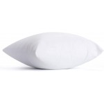 Calibrate Timing 12 x 12 Pillow Insert Hypoallergenic Square Decorative Throw Pillow Cushion Stuffer Forms Couch Sham - 12 inches - B6IW86HV4