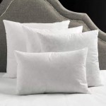 CHHKON Feather Down Throw Pillow Inserts Set of 2 White Decorative Throw Pillow Couch Sham Cushion Stuffer 12x20 - BXIG2V7LZ