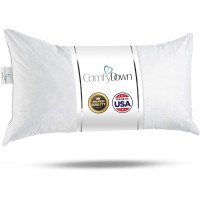 ComfyDown 95% Feather 5% Down 16 X 20 Rectangle Decorative Pillow Insert Sham Stuffer Made in USA - BBE65P5G3