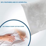 ComfyDown 95% Feather 5% Down 16 X 28 Rectangle Decorative Pillow Insert Sham Stuffer Made in USA - B1NVMVEPK