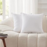 COZZZY 18x18 Pillow Inserts Set of 2 Decorative 18IN Pillow Insert with 100% Cotton Cover Throw Pillow Inserts 18 Inch Square Interior Sofa Pillow Inserts2 18x18 - BACMRNE28