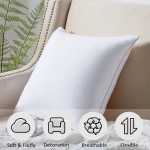 CUTEWIND 16x16 Pillow Inserts with 100% Cotton Cover 16 Inch Square Interior Sofa Pillow InsertsSet of 2 Decorative Pillow Insert Pair White Couch Pillow 2 16x16 2Pack - BM7SAMXSU