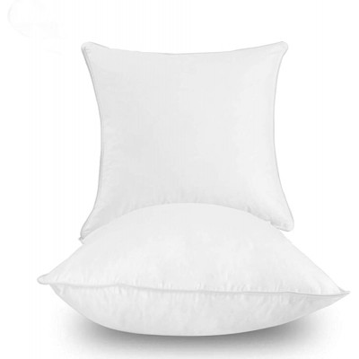Dream High Premium Duck Down Feather Throw Pillow InsertsSet of 2-100% Cotton Cover Square,Luxury Soft Plush,Premium Stuffer Down,Hand Wash,Cushion Insert 16x16 - BLYAJT7H4
