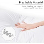 Emolli Throw Pillow Insert Set 2 Pack Down Alternative Polyester Pillow Insert 18 x 18 Inches - B6RR6MT9K