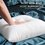 Emolli Throw Pillow Inserts Set of 2 Throw Pillow Inserts Premium Stuffer Cotton Cover Down Alternative Super Soft Microfiber Filled Decorative Pillow Cushion 24 x 24 Inches - BJKWPXUTT