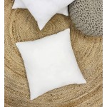 Hausattire Throw Pillow Insert 18x18 inches Set of 4 Premium Sham Stuffer White Pillow Inserts for Couch and Bed - B80271CDU