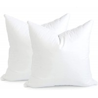 Hofdeco Water Resistant Synthetic Down Alternative Throw Pillow Insert Sham Stuffer Square Form 22"x22" Set of 2 - BBZIWSQYC