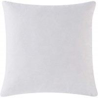 HOMESJUN Feather and Down Pillow Insert 30x30 Square Decorative Throw Pillow Insert 100% Cotton White - BMYM1SSF5