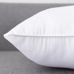 Lipo 18 x 18 Pillow Inserts Set of 2 Throw Pillow Inserts Euro Pillow Inserts Down Pillow Inserts Decorative Pillow Insert Pair White Couch Pillow - BQDGCPFXA