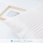 MIULEE Pack of 2 Premium Striped Hypoallergenic Throw Pillow Inserts Decorative Pillow Stuffer Sham Form Rectangle for Cushion Bed Sofa Couch Home Decor 12x20 Inch - BZRGEBOVX