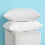 MIULEE Set of 2 Decorative Throw Pillow Inserts Down and Feather Cotton Fabric Pillows Rectangle Sham Stuffer for Sofa Couch Living Room 12x20 Inches - B08IBESW7