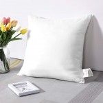 OTOSTAR Outdoor Throw Pillow Inserts Pack of 2 Water Resistant Cushion Inner Pads for Patio Garden Coffee House Decorative Waterproof Pillow Inserts 18x18 Inch -White - B3XWI6K10
