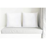 Pal Fabric Set of 2 Premium Cotton Feel Microfiber Square Sham Euro Sofa Bed Counch Foam Stuffer Cushion Pillow Insert 18x18 Made in USA - B33FNHZN2