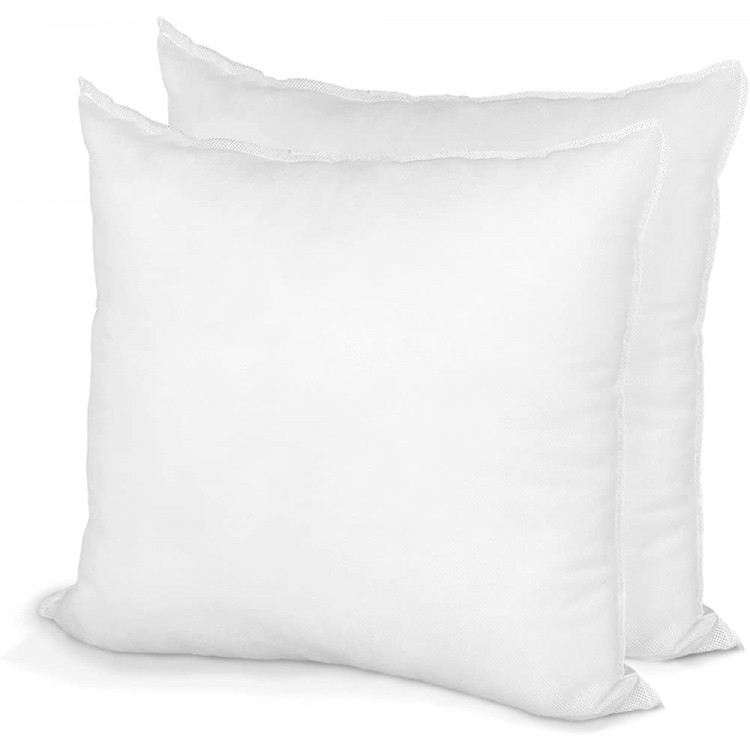 Pillow Insert 17 x 17 Polyester Filled Standard Cover 2 Pack - BTHZ2DI6N