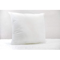 Pillow Insert Pillow Form Non Woven 18"x18" of 1 - BO5NY8PTX