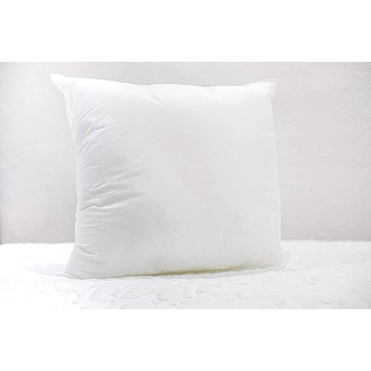 Pillow Insert Pillow Form Non Woven 18x18 of 1 - BO5NY8PTX