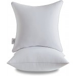 Qeils 18 x 18 Pillow Inserts Set of 2 White Throw Pillow Inserts with Soft Polyester Cover Rectangle Square Interior Sofa Pillow Inserts Decorative Pillow Insert White Couch Pillow - BFLBO8S7I