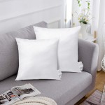 SOLEEBEE Premium Polyester Pillow Inserts Square Set of 2 Decorative Throw Pillow Inserts,Hypoallergenic Couch Cushion Sham Stuffer 18x18 Inch - BZJ8D1KNI