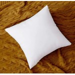 Throw Pillow Insert White Square Cotton Fabric for Bed Indoor Couch Sham Decorative Cushion Stuffer Pack of 4 20X20 - BKJS1MS6Y