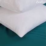 Zeallar Set of 2-24x24 Decorative Throw Pillow Inserts-Down Feather Pillow Inserts 100% Cotton Fabric Square White - BBHEGGQNU
