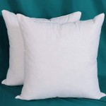 Zeallar Set of 2 Decorative Throw Pillow Inserts Down and Feather Pillow Inserts 100% Cotton Fabric Square White - BP5Y7LKNN