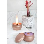Darware Rose Gold Candle Tins 12-Pack; European Style Containers for Storage Parties Weddings Jewelry Candy and Tea Stash - BZCNGN2I8
