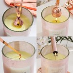 Tiamo Candle Care Kit with Lighter | Candle Accessory Set 5in 1 Includes Wick Trimmer Wick Dipper Candle Snuffer ，Rechargeable Electric Candle Lighter ，Storage Tray Plate and Storage Bag rose gold - BC2JTFYNL