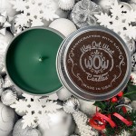 Way Out West Candles Holiday Candle Scented with Winterberry Pine Fragrant Soy Candle Tin Nice Holiday Gift Made in USA - B30Z39NLS
