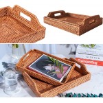 WSNDY Decorative Tray Coffee Table Decorative Serving Decorative Tray Tray Decorative Decorative Trays for Coffee Table Size : Large - BKHLLCZ8Y