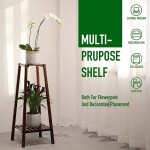SHALLWE 2-Tier Corner Shelf Multipurpose Bookcase Wooden Ladder Storage Shelf Display Rack Bamboo Plant Stand Industrial Shelf Stand for Living Room Home Office Kitchen and Balcony - BK72J9S0P