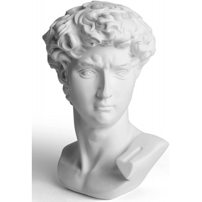 Garwor 6” Classic Greek David Head Resin Sculptures and Statues Home Décor Office Décor Michelangelo David Bust Figurine - BBTOUNAZP