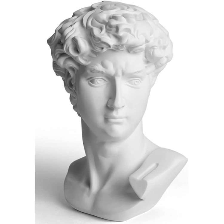 Garwor 6” Classic Greek David Head Resin Sculptures and Statues Home Décor Office Décor Michelangelo David Bust Figurine - BBTOUNAZP