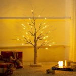 ESTTOP 24” 2FT Lighted Birch Tree with 24LT Warm White LEDs Battery Powered Timer Artificial Branch Tree for Valentines Day Decor Christmas Money Tree Gift Card Tree Home Party Festival Wedding Indoor - B3F0CLQ50