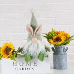PICUKI Easter Gnomes Plush Decorations Easter Bunny Decor Larger Spring Holiday Gnomes Eggs Nordic Swedish Tomte Home Indoor Farmhouse Ornaments Figurines Doll Gift 16Inch Green - BQN0UTG7L